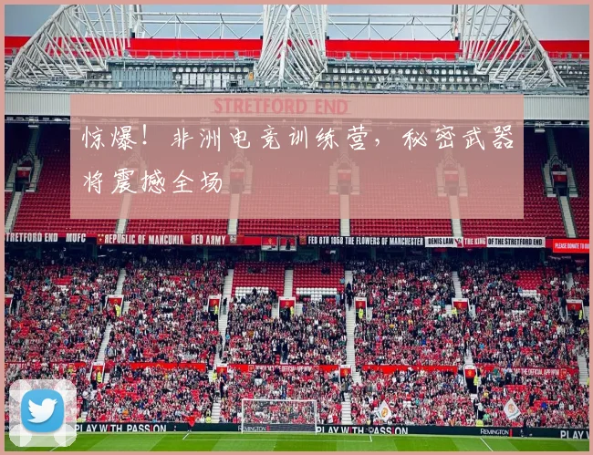 惊爆！非洲电竞训练营，秘密武器将震撼全场