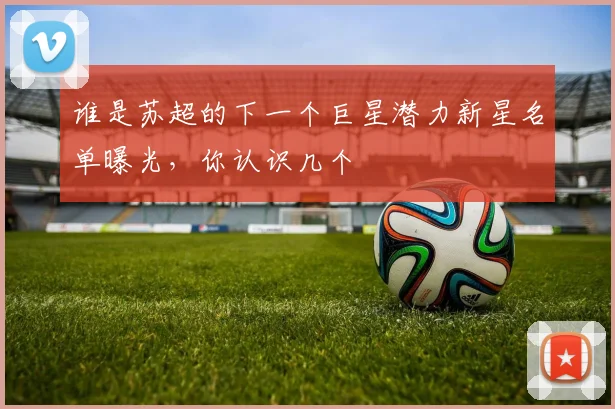 谁是苏超的下一个巨星潜力新星名单曝光，你认识几个